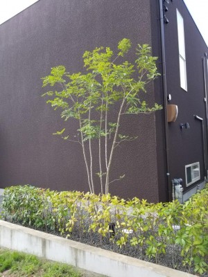 20180922_150737.jpg