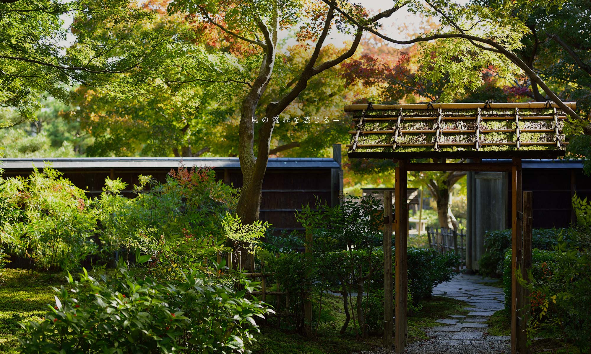 風の流れを感じる
